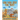 Can You Spot the Not? (An Activity Book)