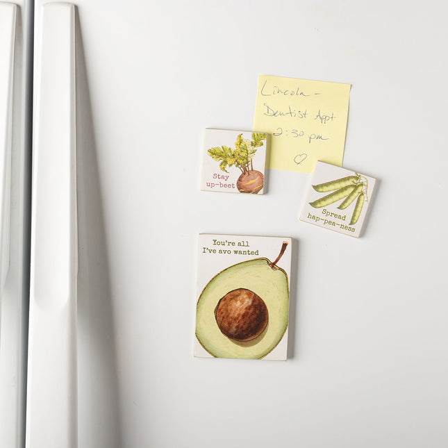 Veggie Puns Magnetic Memo Holder Set | 3 Magnets on a Metal Gift Backing by The Bullish Store