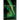 A Solar Flare