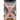 Evocatus Inception