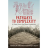 Pathways to Complexity: A View from the Maya Lowlands