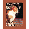 The Bean Family Tree: In English and Spanish