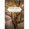 Cinderella in America: A Book of Folk and Fairy Tales