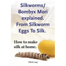 Silkworms Bombyx Mori explained. From Silkworm Eggs To Silk. How to make silk at home.