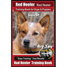 Red Heeler, Red Heeler Training Book for Dogs & Puppies By BoneUP DOG Training: Are You Ready to Bone Up? Easy Training * Fast Results Red Heeler Trai