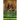 The Key of Solomon the King: A Biography Concerning King Solomon; His Magic, Conjurations and Mythical History (Biblical Pseudepigrapha)