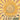 Sunny: Life Cycle Of A Sunflower, A Story Of Life And Love