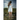 The Illusion of a Girl: Based on a true story