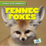 Fennec Foxes