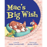 Mac's Big Wish: A Children's Book about the Power of Friendship