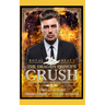 The Dragon Prince's Crush: An M/M MPreg Shifter Romance