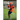 114 Youth Football Plays