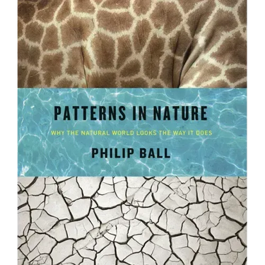Patterns in Nature: Why the Natural World Looks the Way It Does