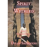 Spirit Whirled: The Holy Sailors