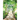 The Alphabet Woods