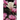 The Last Magnolia: Book Ten