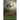 The Gift