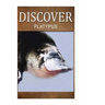 Platypus - Discover: Early reader's wildlife photography book