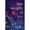 The Weight of Air: A Story of the Lies about Addiction and the Truth about Recovery