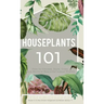Houseplants 101: How to choose, style, grow and nurture your indoor plants.