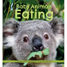 Baby Animals Eating