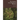 The Ancient Encyclopedia of Mystery