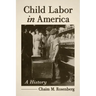 Child Labor in America: A History