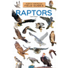 Raptors