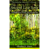 The Ancient Love Song: Finding Christ in the Old Testament