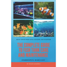 The Complete Guide to Fish Tank Care and Maintenance: Fishkeeping Made Easy