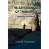 The Experience of Thinking