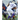 How to Coach the Football Inside Zone Running Play: Teaching Offensive Line, Quarterback and Running Back Details to Execute Against Multiple Fronts