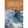 Christian Renewal by the Holy Spirit Simplified