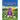 The Purple Cow Who Gave Root Beer