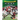 G.O.A.T. College Football Teams