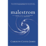 Malestrom: How Jesus Dismantles Patriarchy and Redefines Manhood