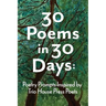 30 Poems in 30 Days: Poetry Prompts Inspired by Trio House Press Poets