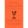 Dragonfly in Amber