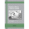 Radiation Effects in Silicon Carbide