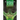 Emerald Eyes