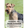 Raising An Irish Terrier: Irish Terrier Training Guide: Best Ways To Exercise Your Irish Terrier?