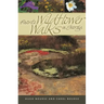 Favorite Wildflower Walks in Georgia