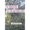 The Invention of the Kaleidoscope