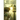 The Speed Merchant