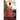 A Christmas Match: A Regency Romance