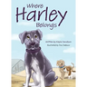 Where Harley Belongs