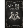 The Sentinel of Cassendar: The High Captain