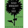 Too Bright to See