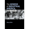 The Genesis of Industrial America, 1870-1920