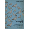The Widowhood Book - A Complete Guide to the Best Methods of Racing Pigeons on the Widowhood System as Described by the Foremost Experts in Britain, B